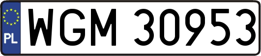 WGM30953