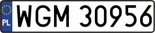 WGM30956