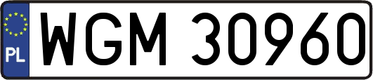 WGM30960