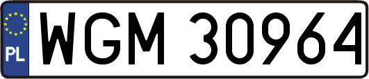 WGM30964