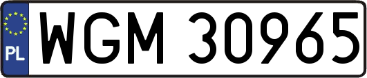 WGM30965