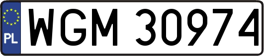 WGM30974