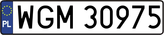 WGM30975