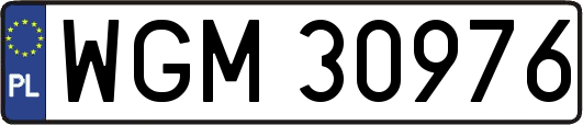 WGM30976