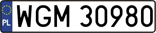 WGM30980