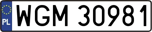 WGM30981
