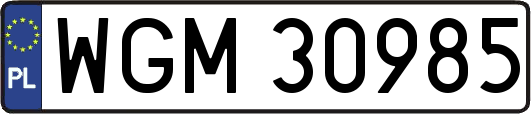 WGM30985