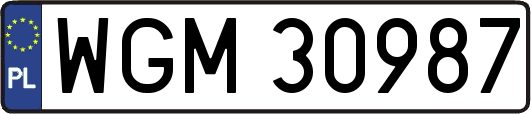 WGM30987