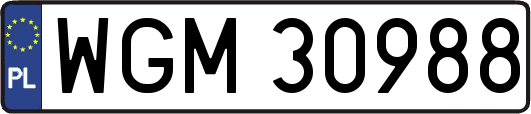 WGM30988