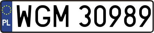 WGM30989