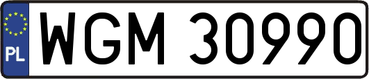 WGM30990