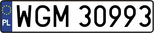 WGM30993