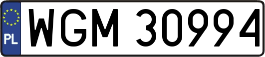 WGM30994