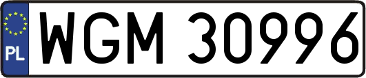 WGM30996