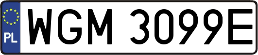 WGM3099E