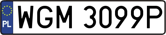 WGM3099P