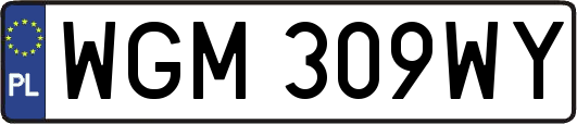 WGM309WY