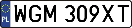WGM309XT