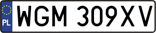 WGM309XV