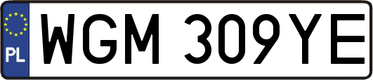 WGM309YE