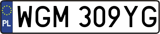 WGM309YG