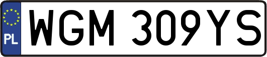 WGM309YS
