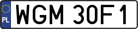 WGM30F1