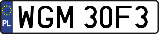 WGM30F3