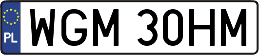 WGM30HM