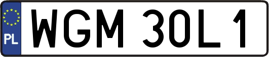 WGM30L1