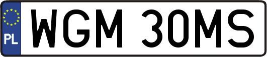 WGM30MS
