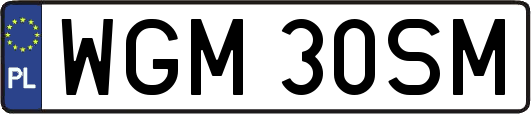 WGM30SM