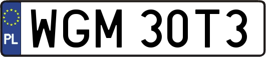 WGM30T3