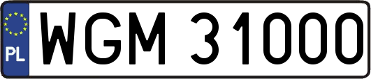WGM31000