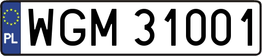 WGM31001