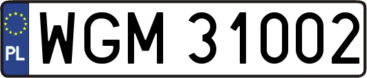 WGM31002