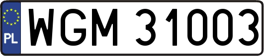 WGM31003