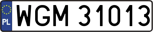 WGM31013