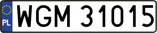 WGM31015