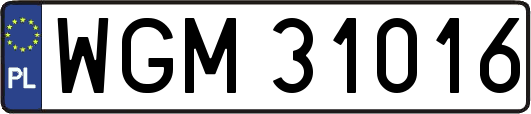 WGM31016