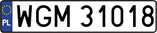WGM31018