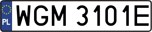 WGM3101E