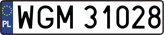 WGM31028