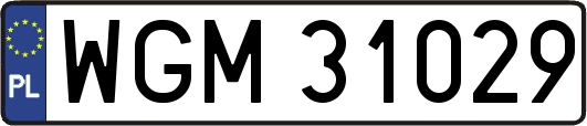 WGM31029