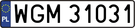 WGM31031