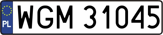 WGM31045