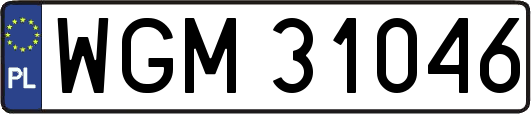 WGM31046