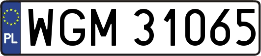 WGM31065
