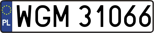 WGM31066