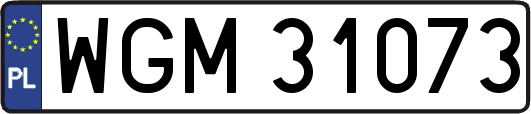 WGM31073
